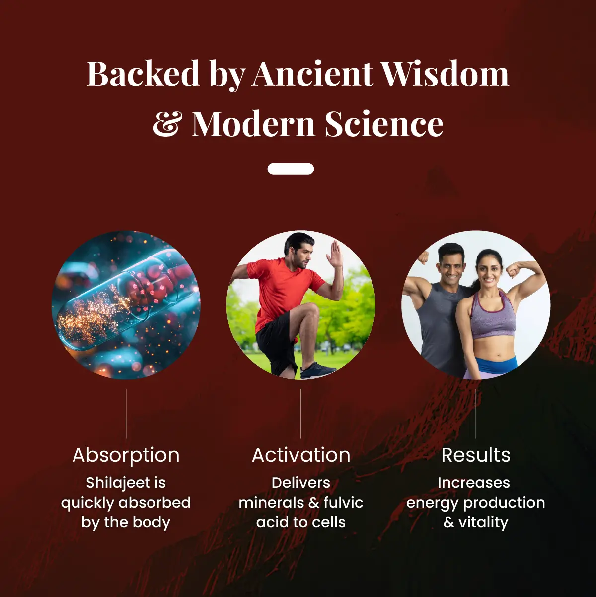 Zeelab Shilajeet Gold 100 Capsule